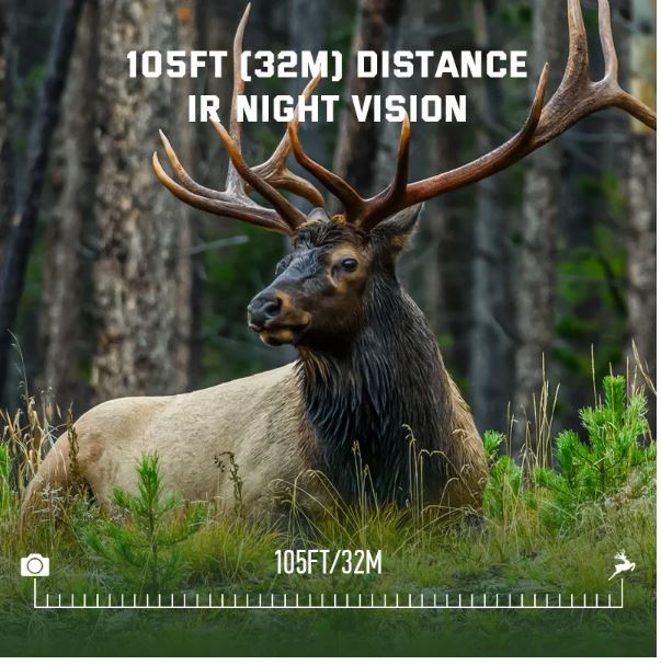 KeepGuard_KW788 trail camera featuring long distance night vision of Elk in a forest