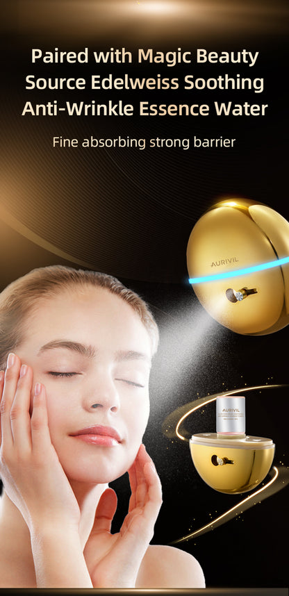Electric Nano Skin Face Mist Sprayer (Model FFM902)