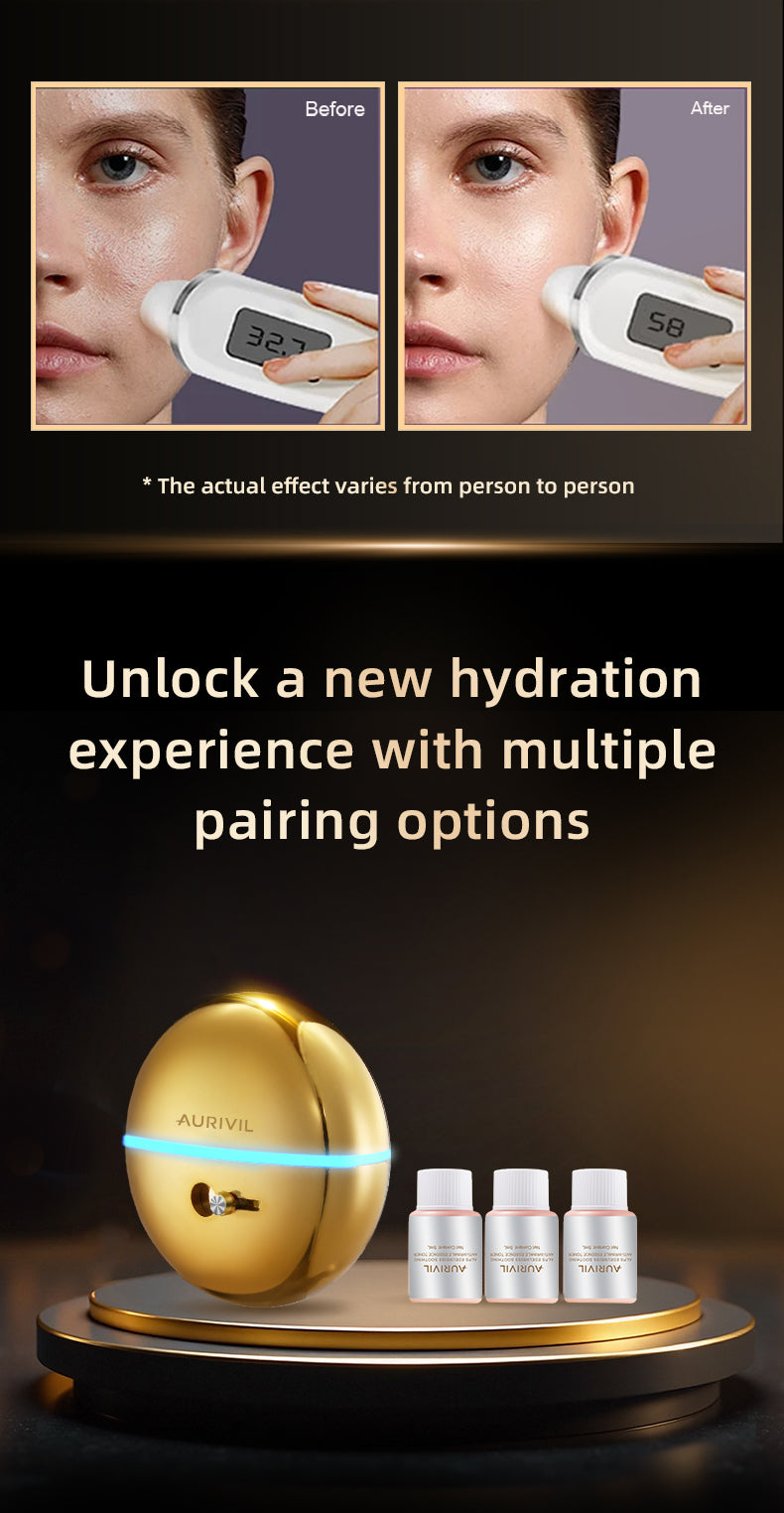 Electric Nano Skin Face Mist Sprayer (Model FFM902)