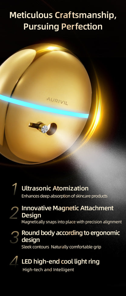 Electric Nano Skin Face Mist Sprayer (Model FFM902)