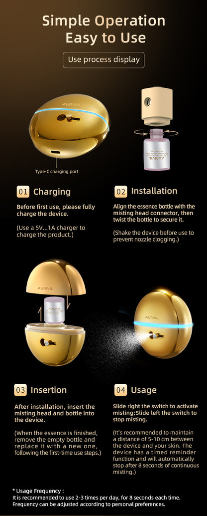 Electric Nano Skin Face Mist Sprayer (Model FFM902)
