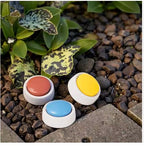 Three Recordable Talking Dog Training Button  (red, yellow, blue) on pebbles with green leaves in the background