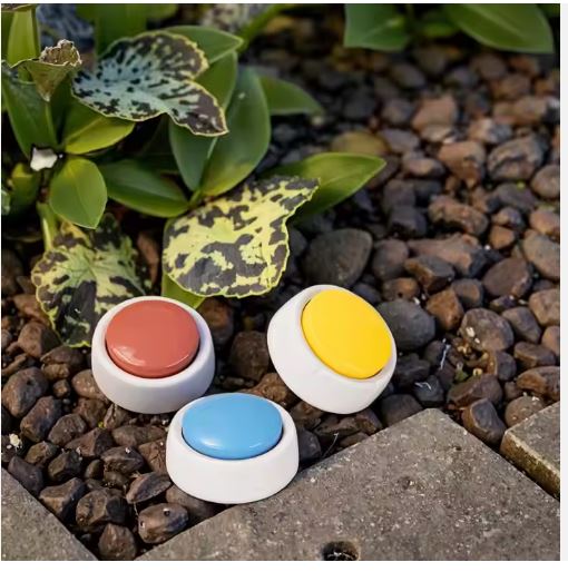 Three Recordable Talking Dog Training Button  (red, yellow, blue) on pebbles with green leaves in the background