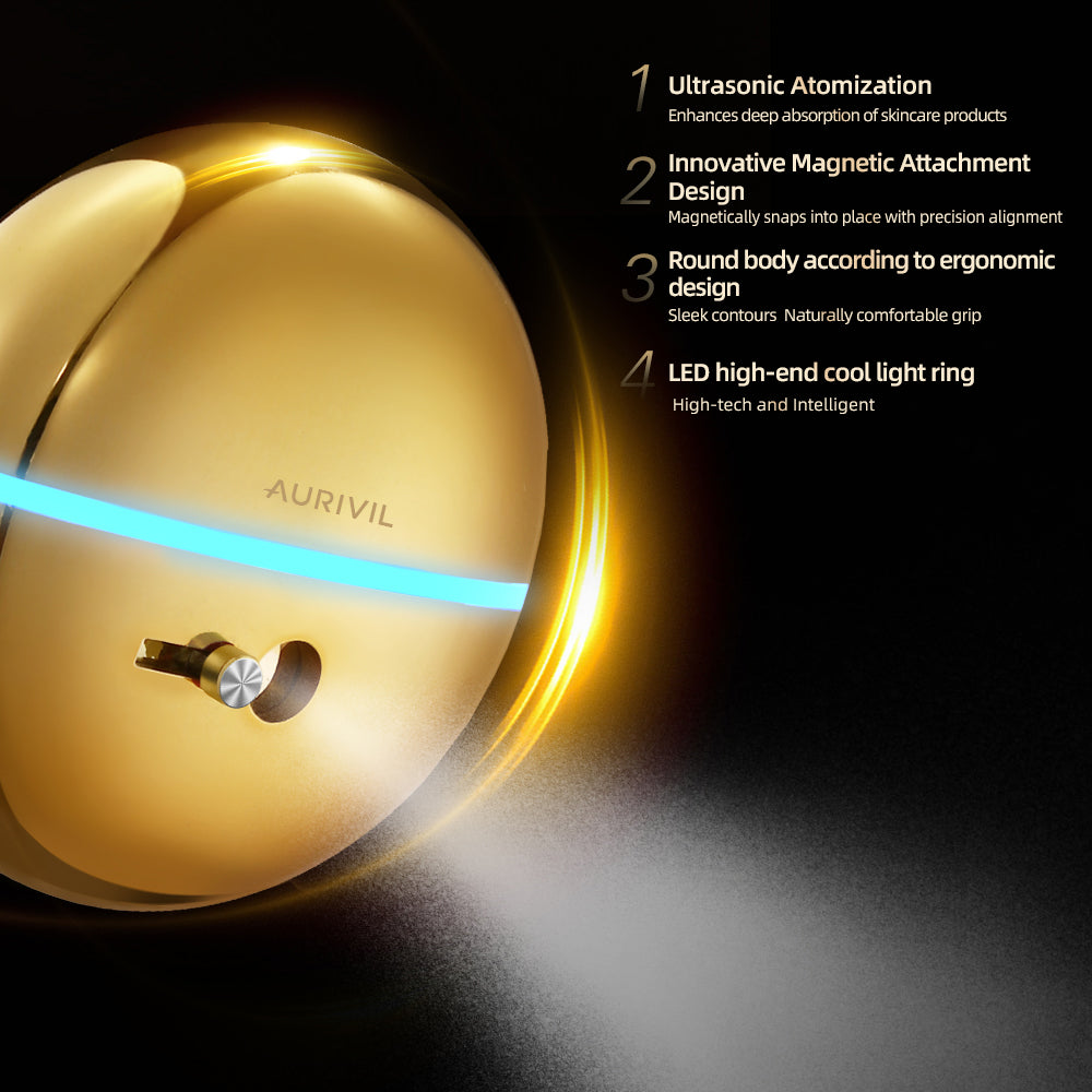 Electric Nano Skin Face Mist Sprayer (Model FFM902)
