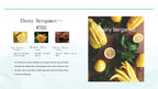 Ebony Bergamot oil fragrance  description card with images of bergamot fruits and a wooden board.