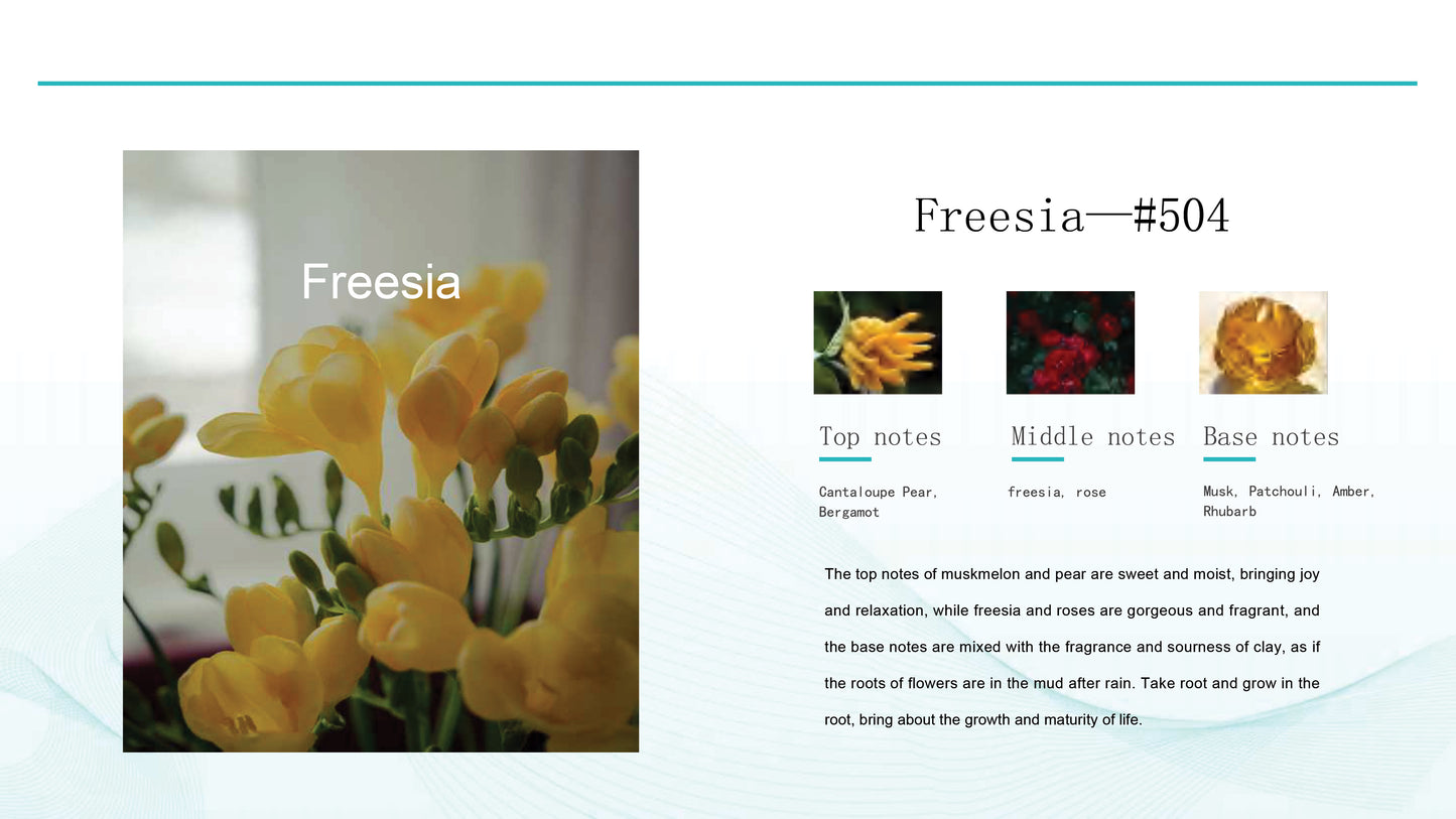 Freesia flower  oil fragrance  description card and notes on a white background