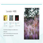 5 Star Hotel Waterless Fragrance Oils 15ml - 0.8oz